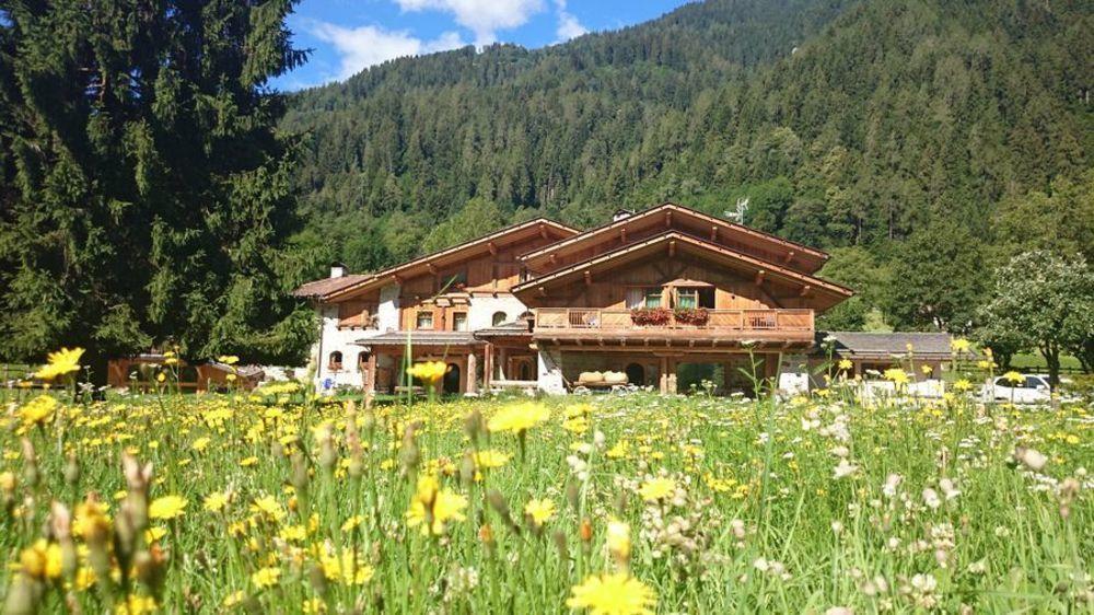 Hotel Maso Del Brenta Caderzone Exteriér fotografie