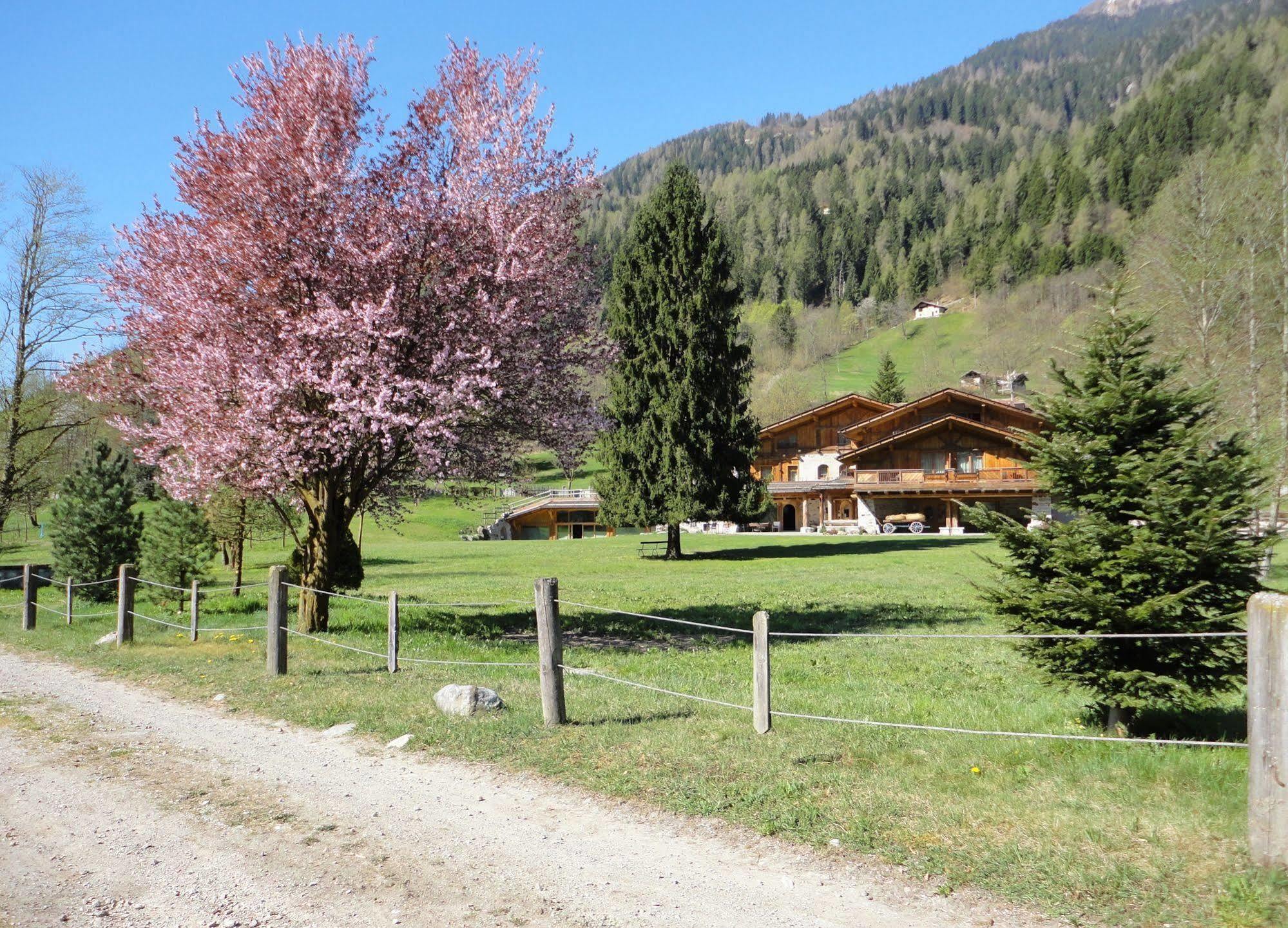 Hotel Maso Del Brenta Caderzone Exteriér fotografie